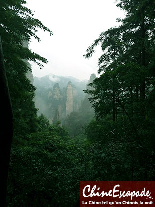 Zhangjiajie, Hunan, août 2016